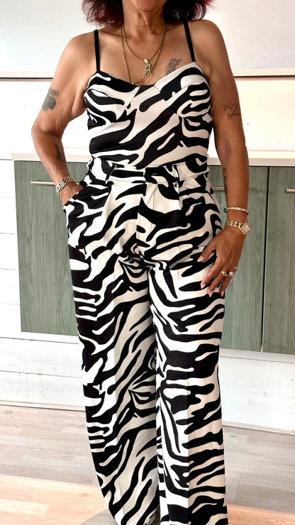 Zebra Body & Pants