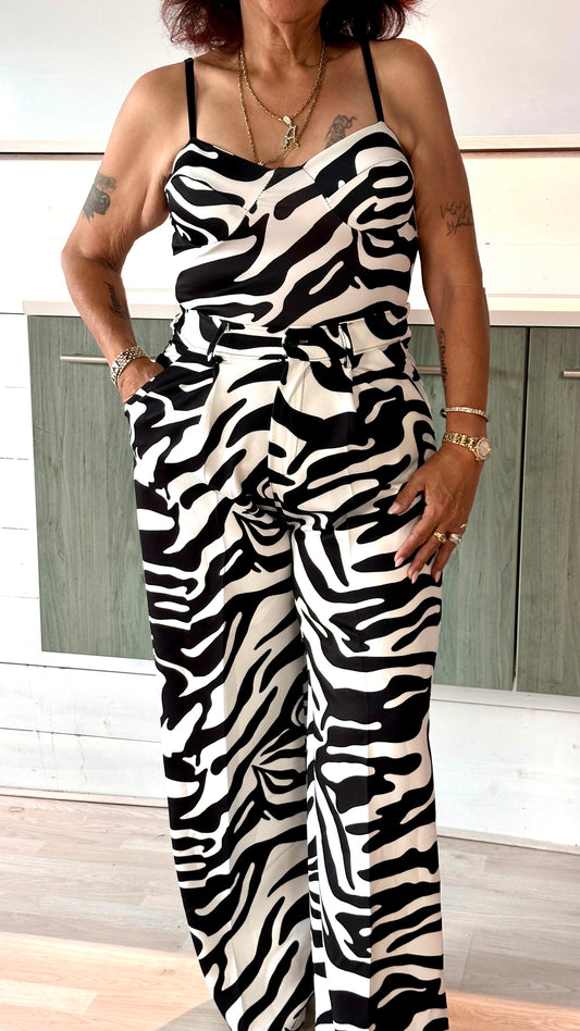 Zebra Body & Pants